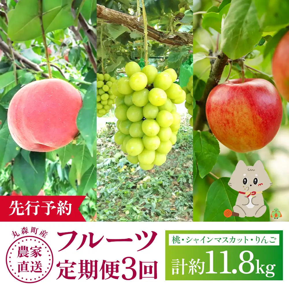 【先行予約】《採れたてを農家直送》 宮城県丸森町産 フルーツ定期便 コース2 （桃・シャインマスカット・りんご）【48008】