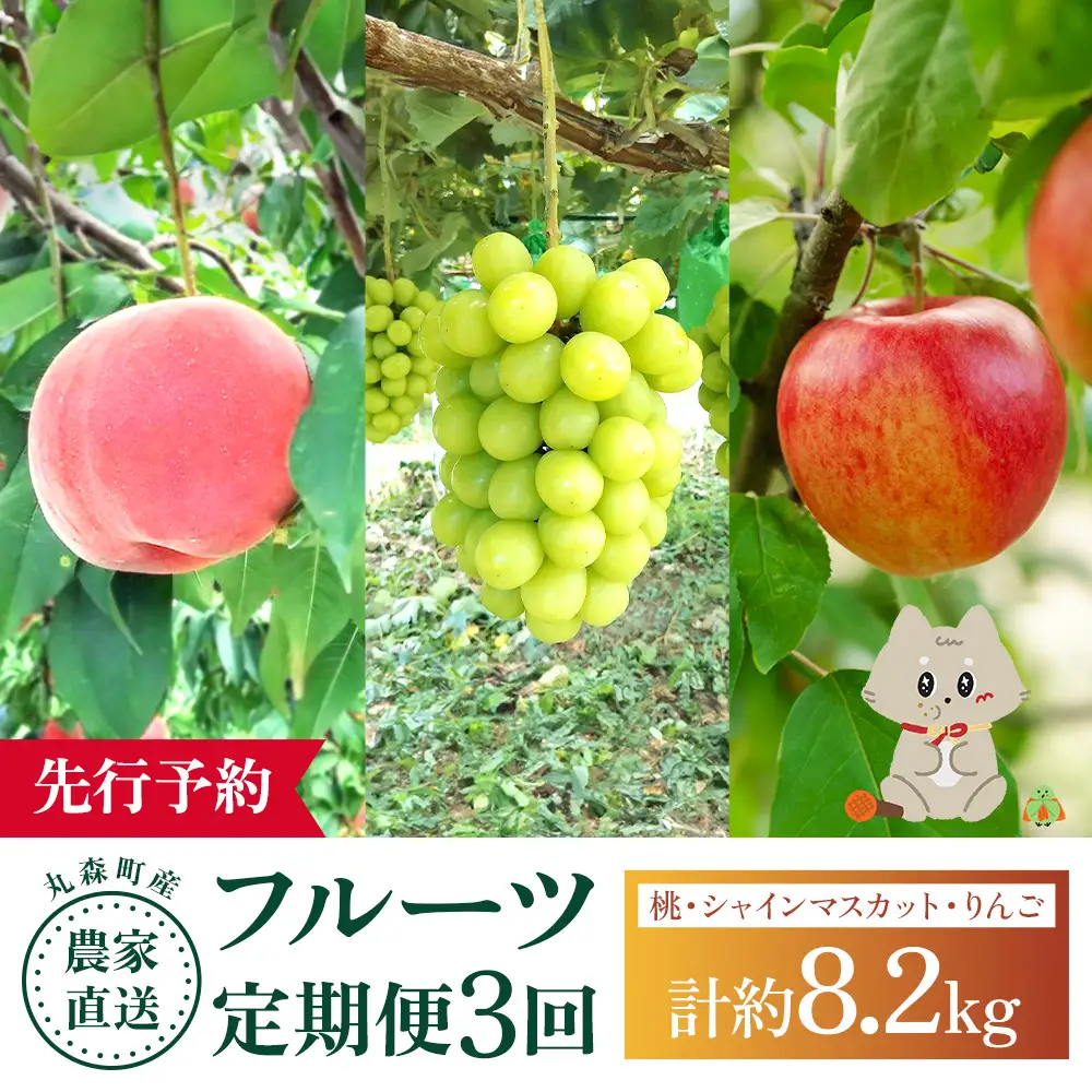 【先行予約】《採れたてを農家直送》 宮城県丸森町産 フルーツ定期便 コース1（桃・シャインマスカット・りんご）【48007】