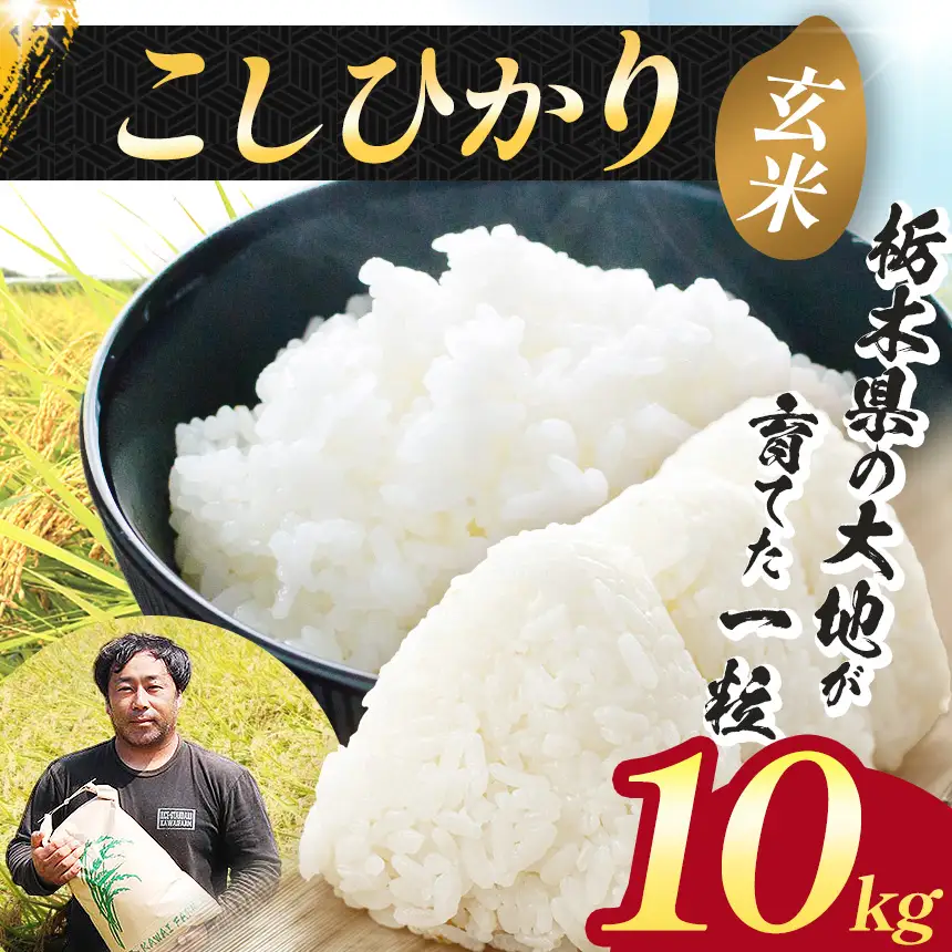 【先行予約】栃木県 下野市  コシヒカリ 玄米 10kg 米 	 																											　米