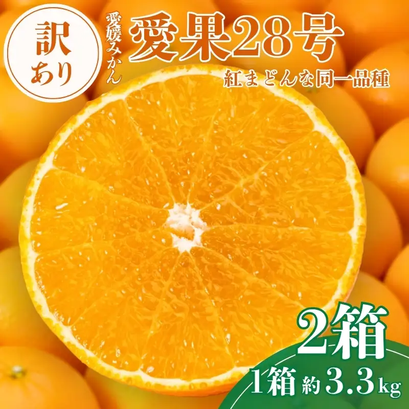 【2026年先行予約】 愛果28号 約3.3kg×2箱 ご家庭用 みかん 紅まどんなと同品種 柑橘 愛媛 【2026年11月下旬から順次発送予定】 数量限定 人気 伊予市｜C139