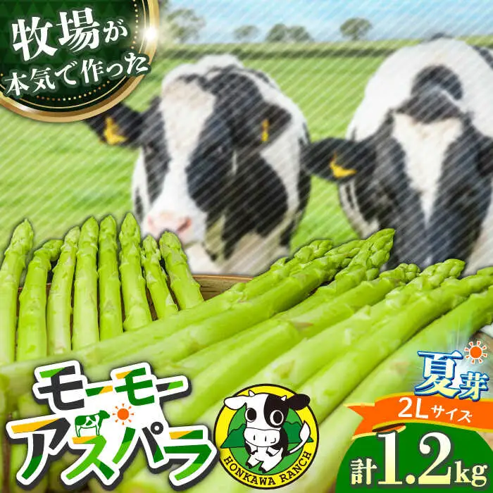 【先行予約】モーモーアスパラ 夏芽 2L 1.2kg（6月上旬から順次発送） 酪農 牧場 こだわり アスパラガス おすすめ 大分県　日田市 / 株式会社本川牧場[ARAI039]