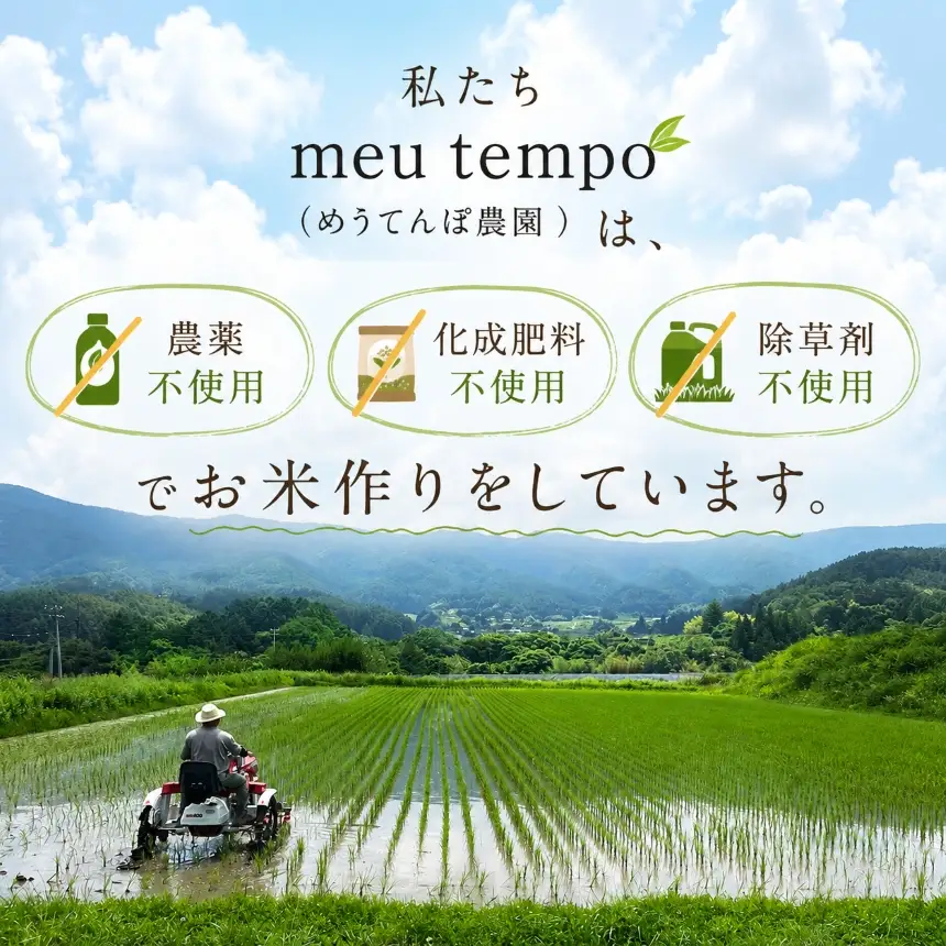 ＜白米＞コシヒカリ5kg 農薬不使用 化成肥料不使用 除草剤不使用 【020-55】