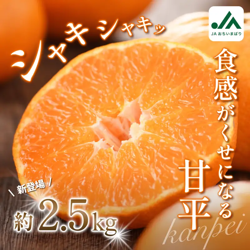 【先行予約】甘平（家庭用）レギュラー箱 約2.5kg