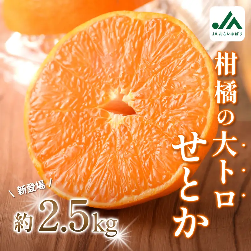 【先行予約】せとか（家庭用）レギュラー箱 約2.5kg