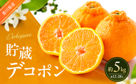 デコポン ハウス 不知火 化粧箱 柑橘 デコポン【約5kg 12〜28玉】 【46312777】