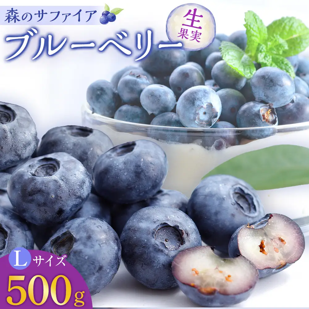 【2027年7月上旬～順次発送 先行予約】【Lサイズ】生ブルーベリー「森のサファイア」500g | ブルーベリー  フルーツ 冷蔵  人気 おすすめ ギフト 送料無料 長野県 長野市 信州 信濃 ふるさと納税
