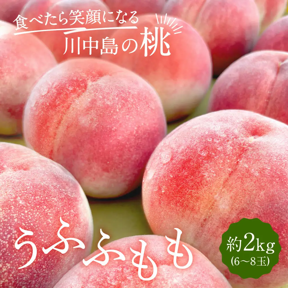 【2027年7月下旬～8月上旬発送予定　先行予約】すーさんの果樹屋 川中島の桃 約2kg 品種おまかせ |桃 フルーツ