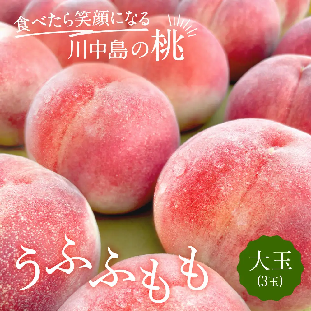 【2027年7月下旬～8月上旬発送予定　先行予約】すーさんの果樹屋 川中島の桃 大玉3玉 品種おまかせ |桃 フルーツ