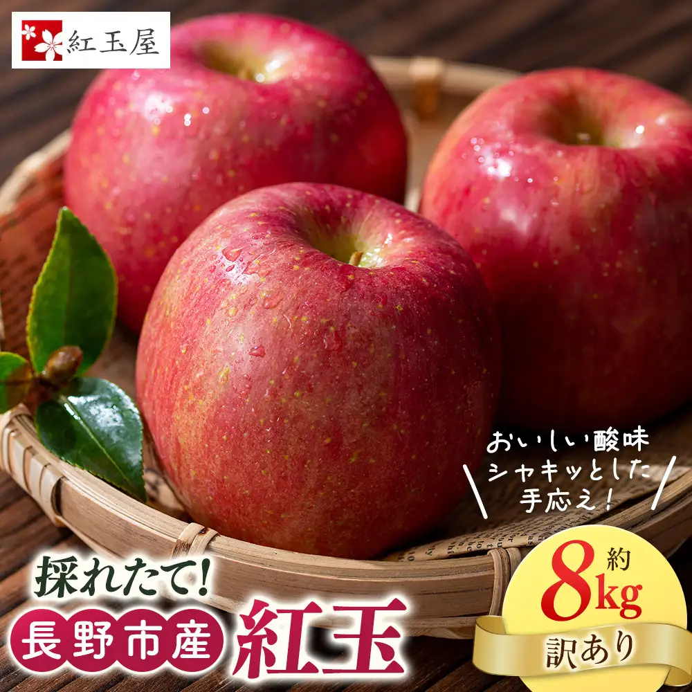 紅玉屋　紅玉訳アリ8kg りんご 長野市産 フルーツ【2026年9月下旬以降の出荷】 | りんご 林檎