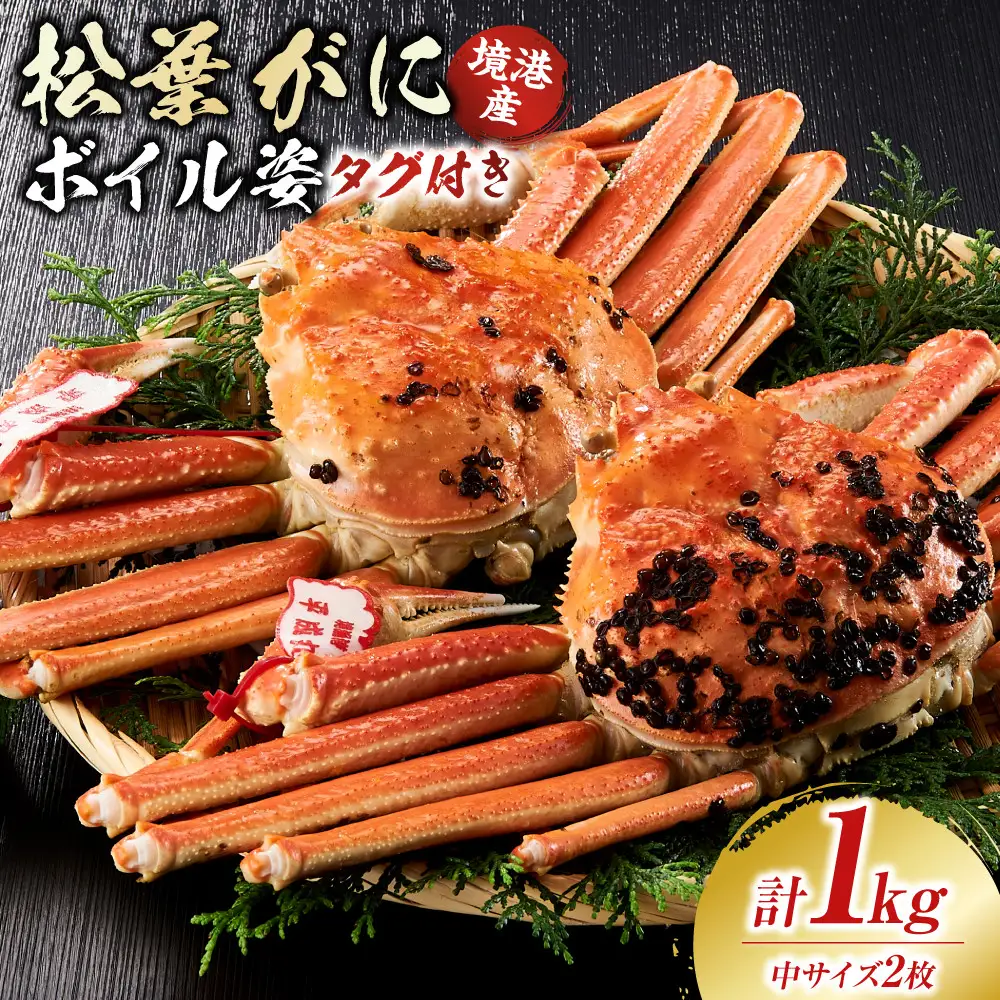 境港産松葉がにボイル姿タグ付き　計1kg（中サイズ2枚）