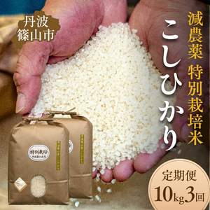 【定期便】丹波篠山市 コシヒカリ 特別栽培米 10kg×3回 令和7年産 こしひかり