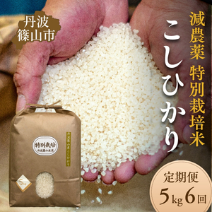 【定期便6回】丹波篠山市 コシヒカリ 特別栽培米 5kg×6回 令和7年産 こしひかり