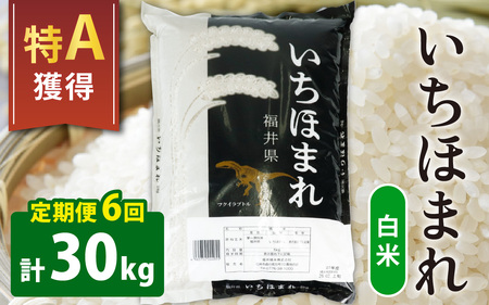 【6ヶ月定期便】【令和8年産 新米】【福井のブランド米】【特A獲得】いちほまれ 白米 5kg × 1袋（合計30kg）
