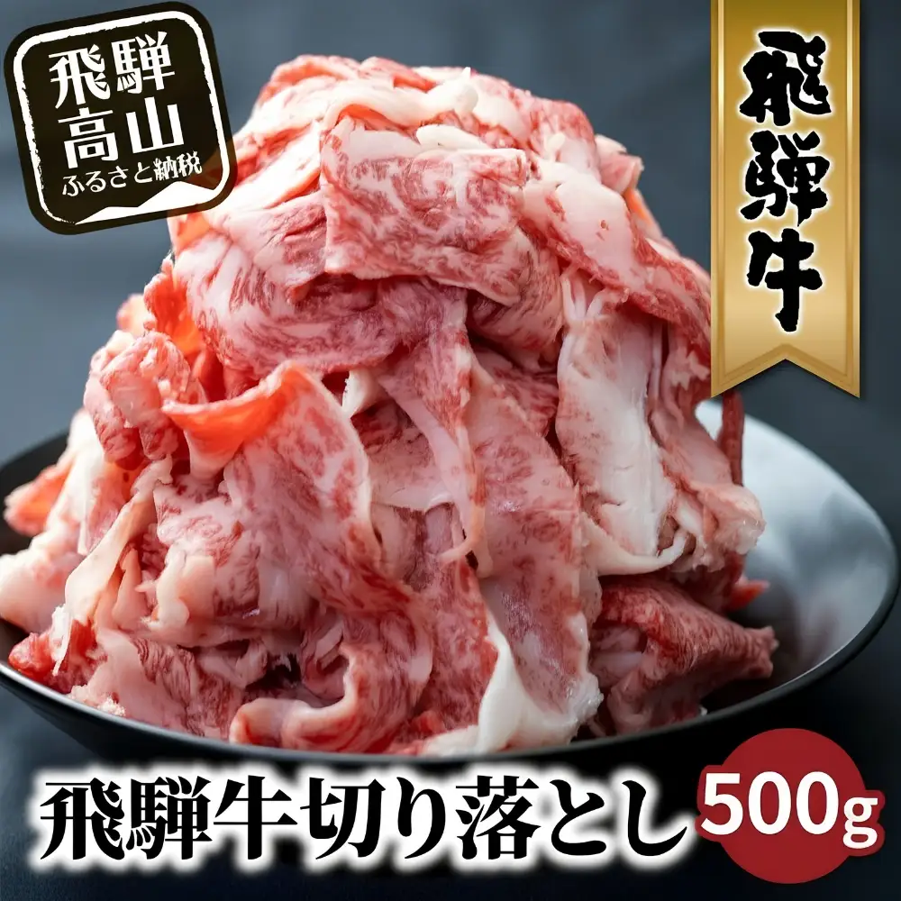 牛肉 飛騨牛 訳あり 切り落とし500g 牛肉 LR011