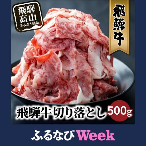 【ふるなびWEEK対象】牛肉 飛騨牛 訳あり 切り落とし500g 牛肉 LR011