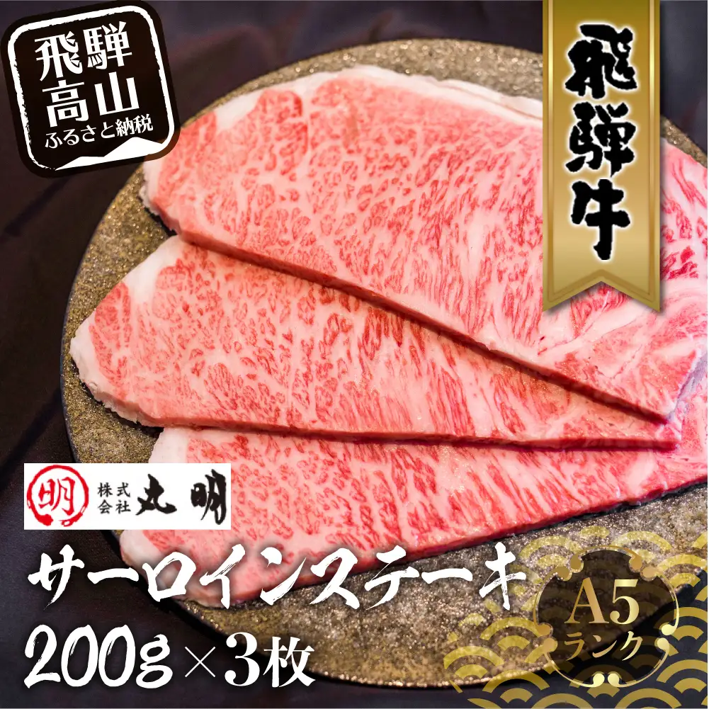 A5 飛騨牛 サーロインステーキ 200g×3枚 | ステーキ LR006
