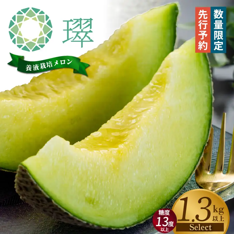 養液栽培メロン「璻」1玉【Select】（糖度13度以上、重さ1.3㎏以上）【熨斗対応可能】