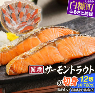  サーモントラウトの切身 12切れ入り (約720g) _T010-1279