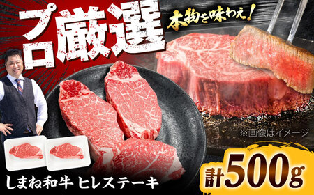 しまね和牛 ヒレステーキ500g [AIEF023]ステーキ