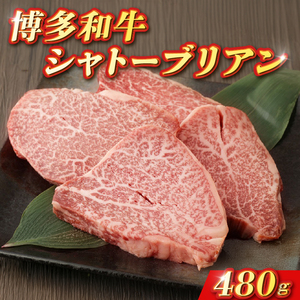 柳川産 博多和牛 シャトーブリアン 約120g×4 計約480g 肉 牛肉 001-2381