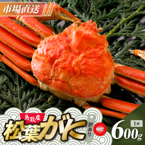 Y928【ボイル】訳あり松葉がに600g超の大きいサイズ食べ応えあり1杯