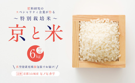 お米 京と米 ヒノヒカリ 6kg お米