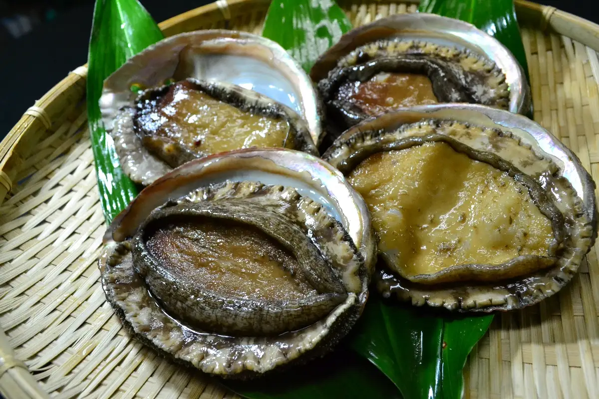 シーフードマイスター厳選　活き生き　大型アワビ　約1kg【H26-8】【配送不可地域：離島・北海道・新潟県・沖縄県・東北】【1044329】 YWTAK007
