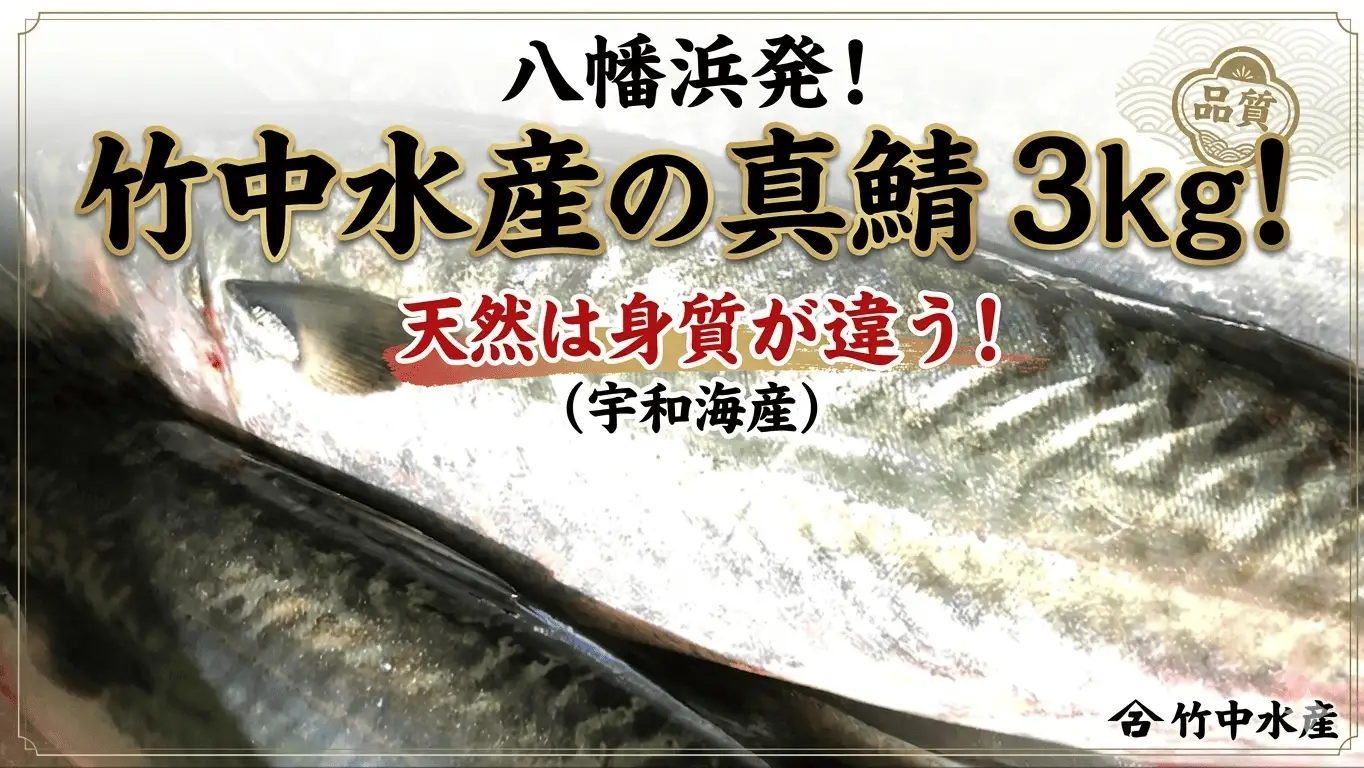 竹中水産の真鯖3キロ!【D22-240】【配送不可地域：離島・北海道・沖縄県・東北・関東・信越、北陸・東海・九州】【1073401】 YWTM058