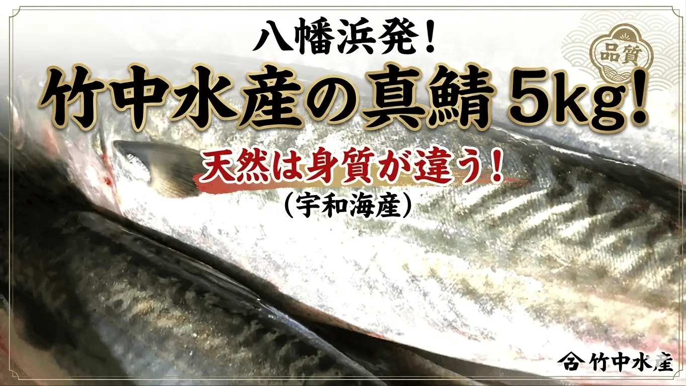 竹中水産の真鯖5キロ!【F22-241】【配送不可地域：離島・北海道・沖縄県・東北・関東・信越、北陸・東海・九州】【1073402】 YWTM059
