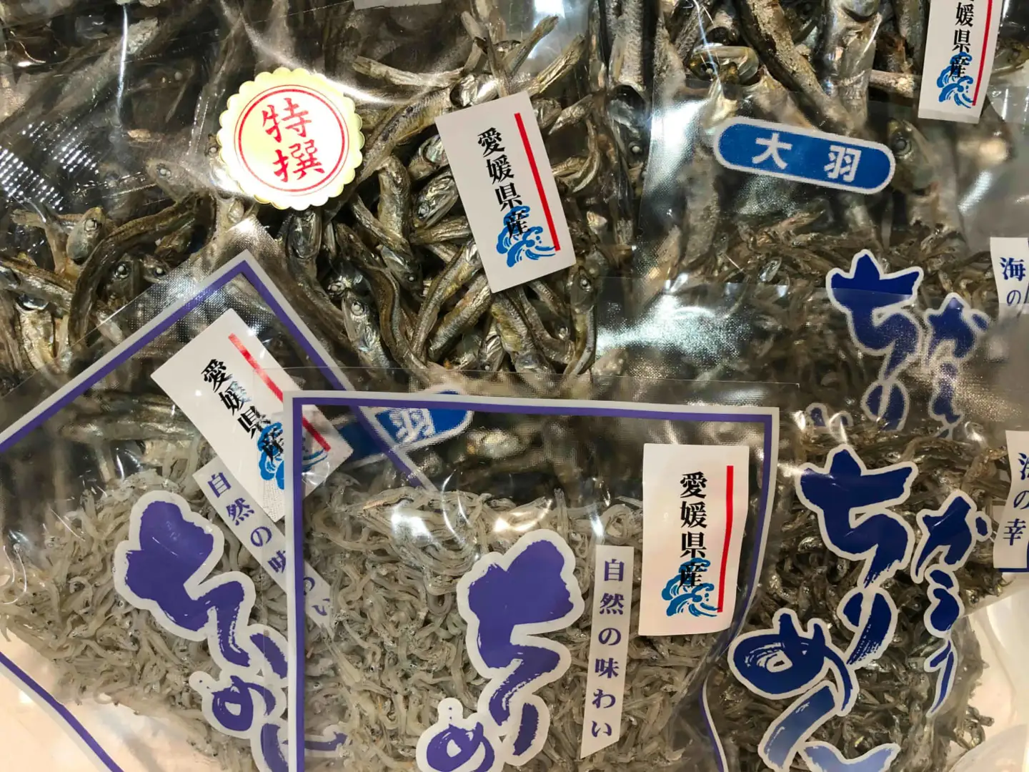 イリ子の詰め合わせ5種約1キロセット!【D22-251】【配送不可地域：離島】【1073908】 YWTM069