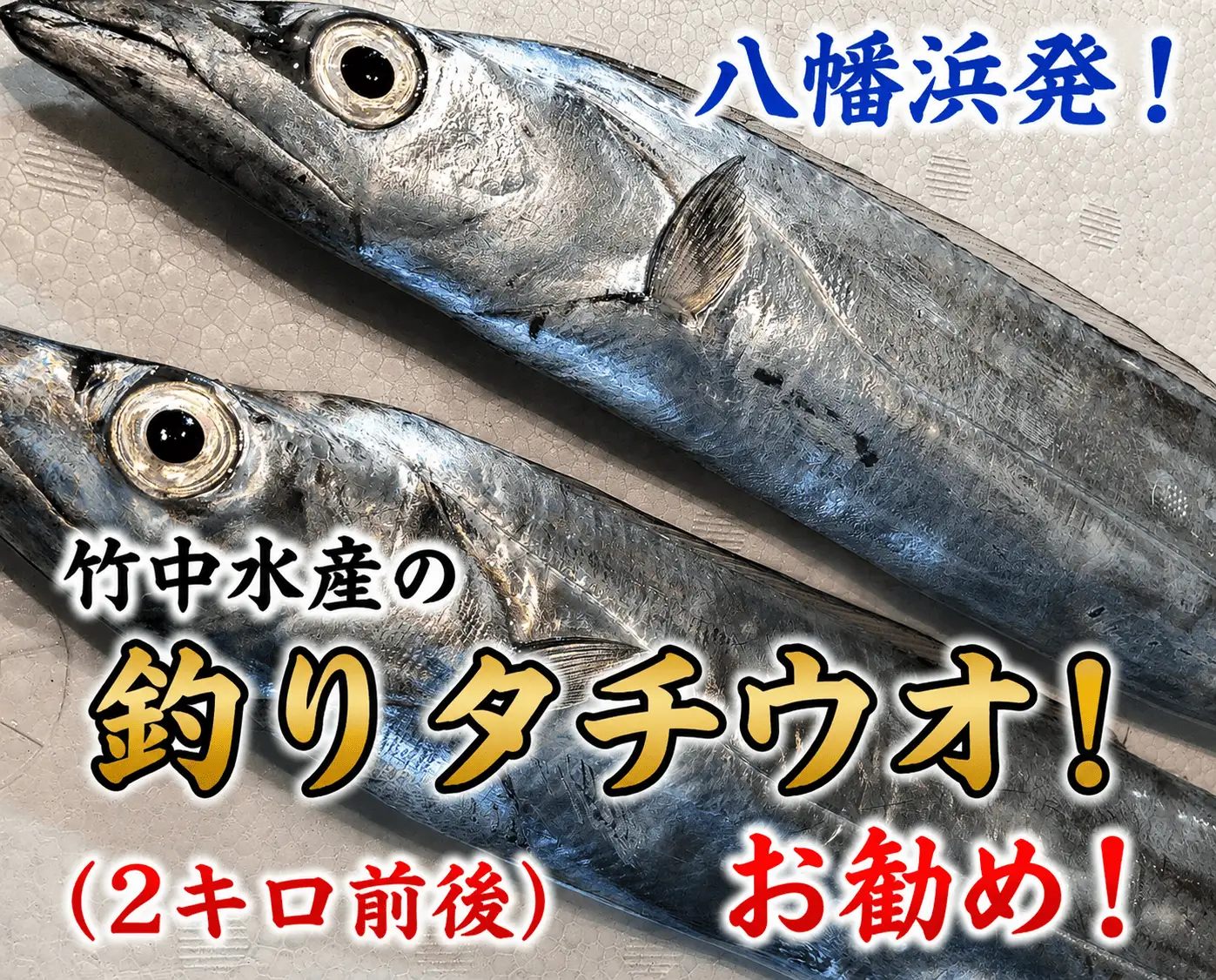 竹中水産の「釣の太刀魚」　約2キロ!【F22-264】【配送不可地域：離島・北海道・沖縄県】【1078740】 YWTM082