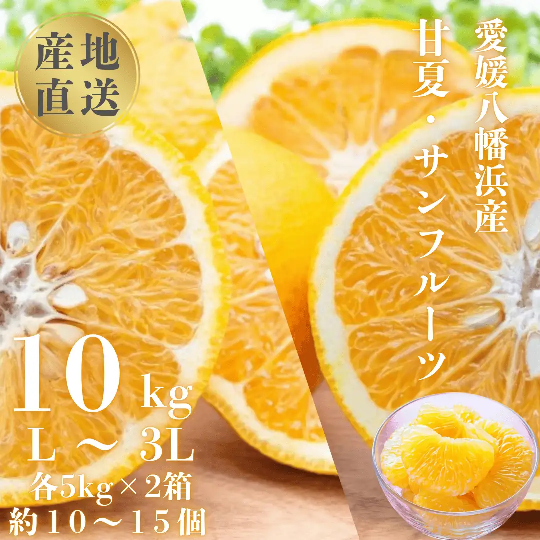 【先行受付】甘夏&サンフルーツ各5kg【D20-10】【1094576】 YWTI009