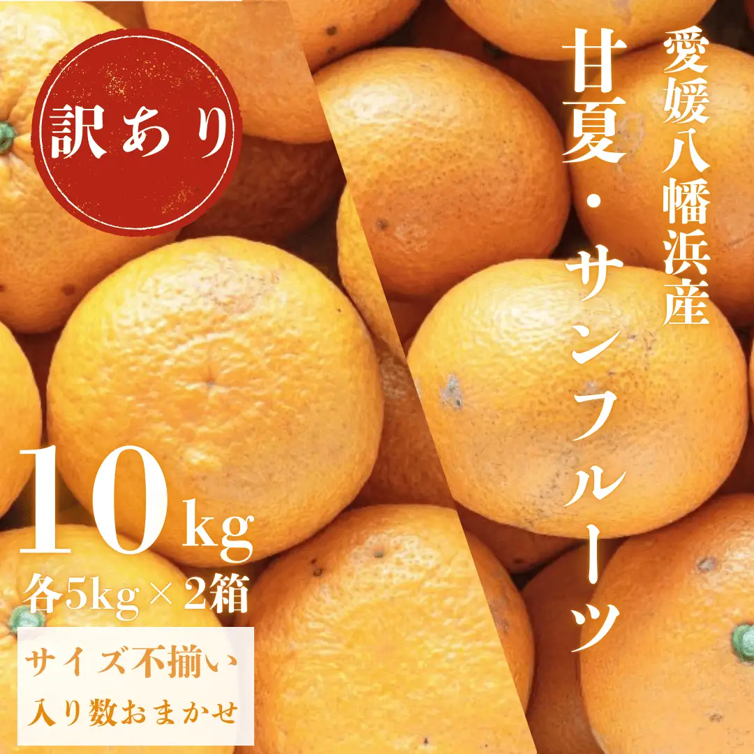 【先行受付】甘夏&サンフルーツ各5kg【訳あり】【C20-19】【1094577】 YWTI016