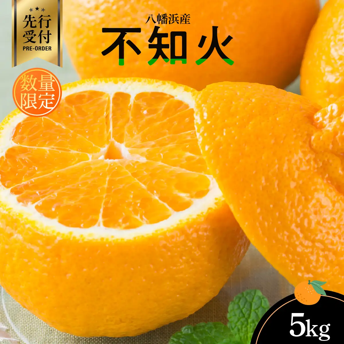 【先行受付】八幡浜産・不知火5kg[数量限定!]【D56-13】【1139909】 YWTAS007
