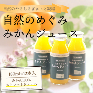愛媛みかん果汁100%ストレート 自然のめぐみジュース 180ml×12本 (家庭用)【D25-3】【1228226】 YWTAP002