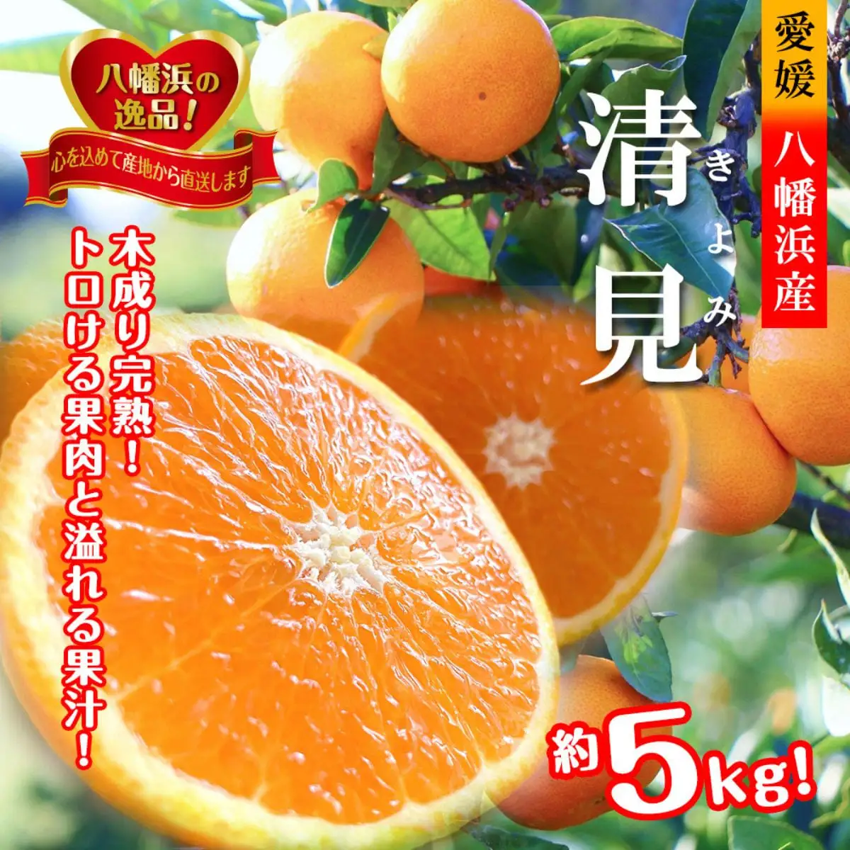 【先行受付】完熟・口いっぱいに広がる、贅沢な果汁!!「きよみ」約5kg　【D39-34】【1262235】 YWTF015