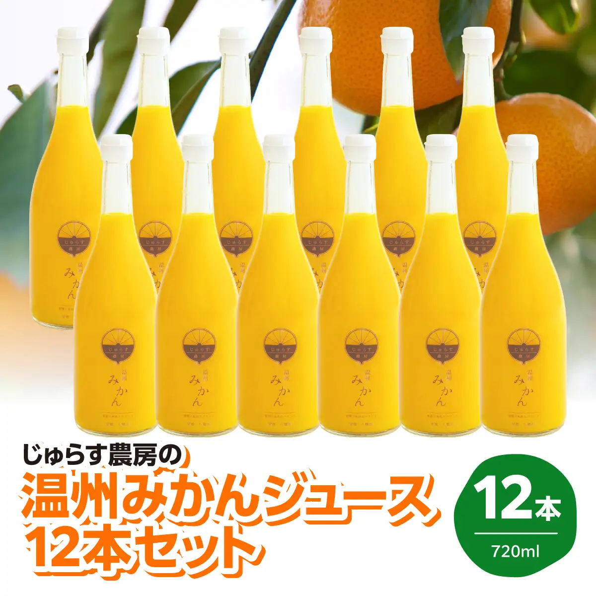 じゅらす農房のみかんジュース12本セット【H32-10】【1296465】 YWTH009