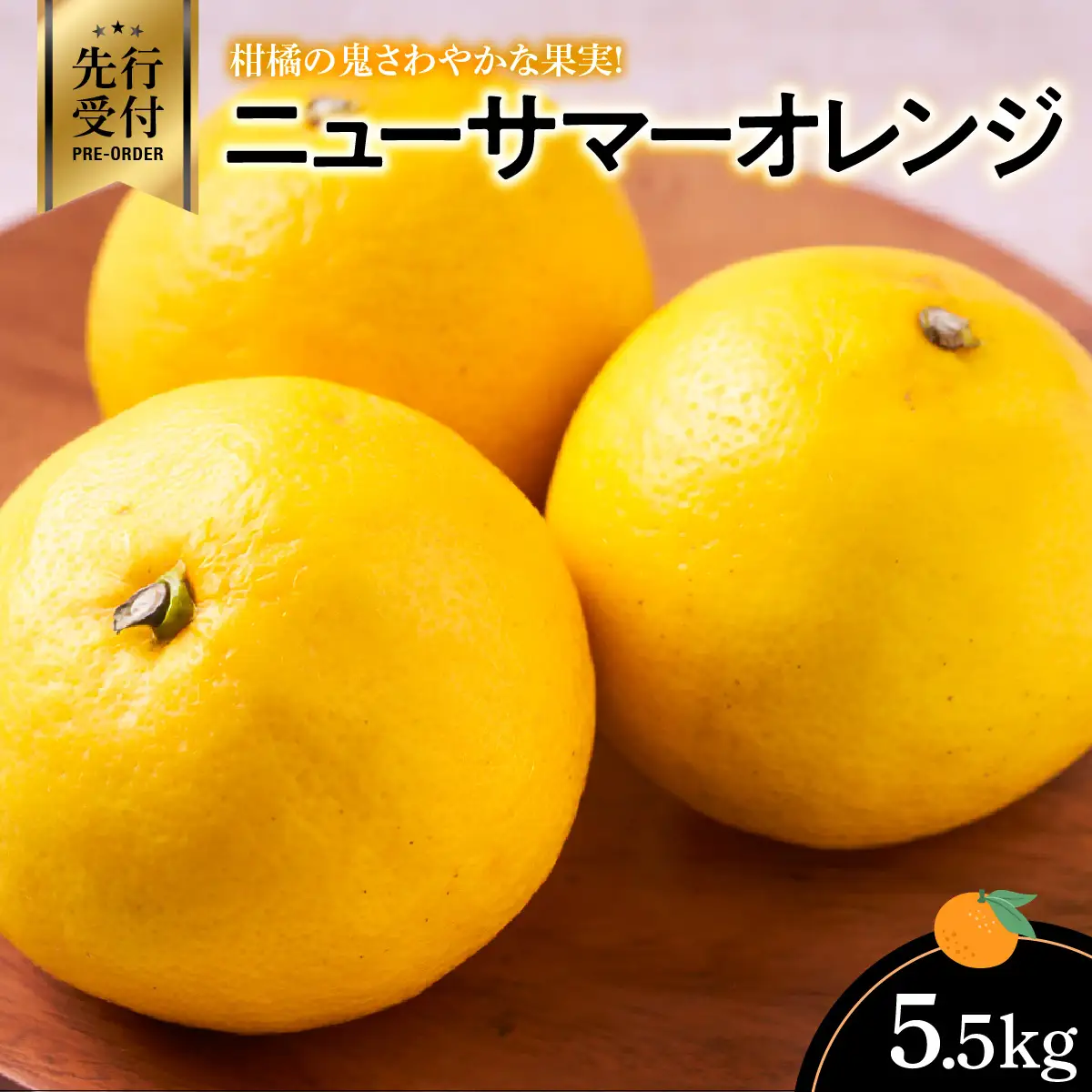 【先行受付】柑橘の鬼　さわやかな果実!ニューサマーオレンジ5.5kg【D56-35】【配送不可地域：離島】【1383235】 YWTAS026