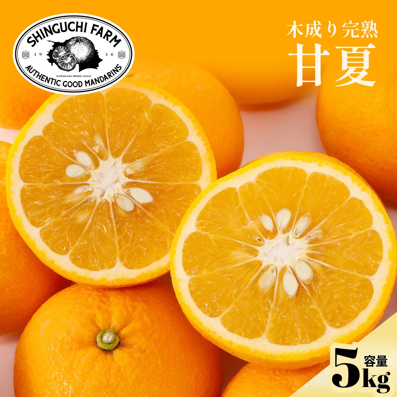 【先行受付 2027年発送】甘夏 5kg 『ほのかな苦味とスッキリした甘み』【C70-26】】【1470662】 YWTK026