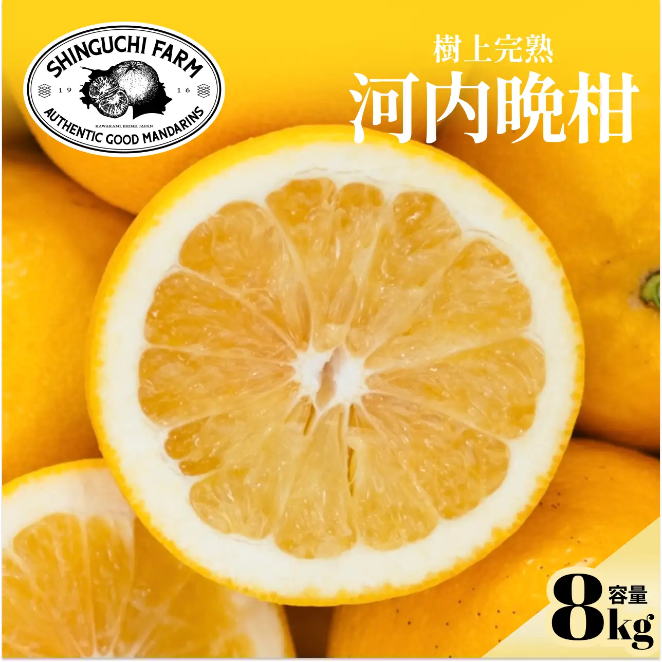 【先行受付】【太陽の恵みをギュッと凝縮】河内晩柑 8kg 愛媛県産【D70-17】【1470707】 YWTK017