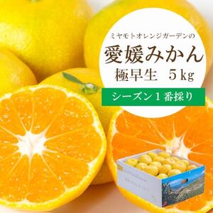 【先行受付】シーズン1番採り!八幡浜産 極早生みかん 5kg【C25-35】【1044407】 YWTAP026