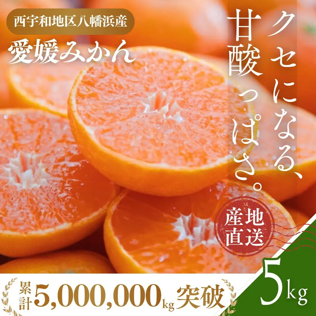 【先行受付】西宇和地区八幡浜産 愛媛みかん 5kg【D25-21】【1044410】 YWTAP014