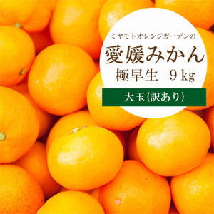 【先行受付】シーズン一番採り 極早生みかん 大玉9kg【訳あり】【C25-74】【1148854】 YWTAP041