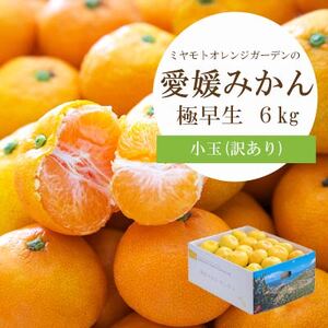 【先行受付】シーズン一番採り!極早生みかん 小玉6kg【訳あり】【C25-47】【1248092】 YWTAP030