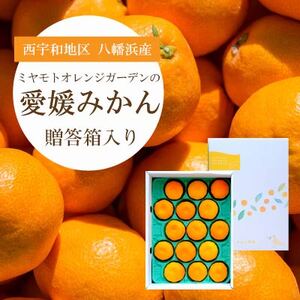 【先行受付】西宇和地区八幡浜産 愛媛みかん 贈答用 15個入り【C25-97】【1356897】 YWTAP048