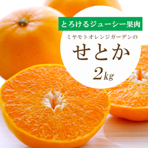 【先行受付】 とろける濃厚果肉 せとか2kg 愛媛県八幡浜産【E25-37】【1044414】 YWTAP028