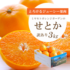 【先行受付】とろける濃厚柑橘 せとか3kg 愛媛県八幡浜産【訳あり】【E25-134】【1128816】 YWTAP077