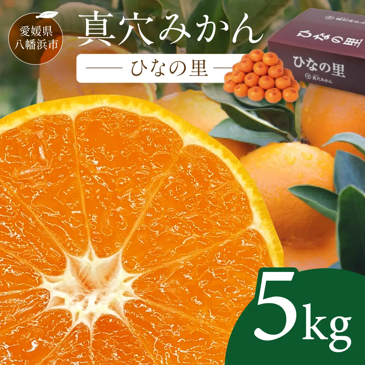【先行受付】真穴みかん 【ひなの里】 5kg【F43-1】【1490392】 YWTAG001