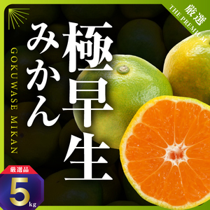 【先行受付】まもなく収穫! 極早生みかん 5kg【C31-15】【1042517】 YWTAC007