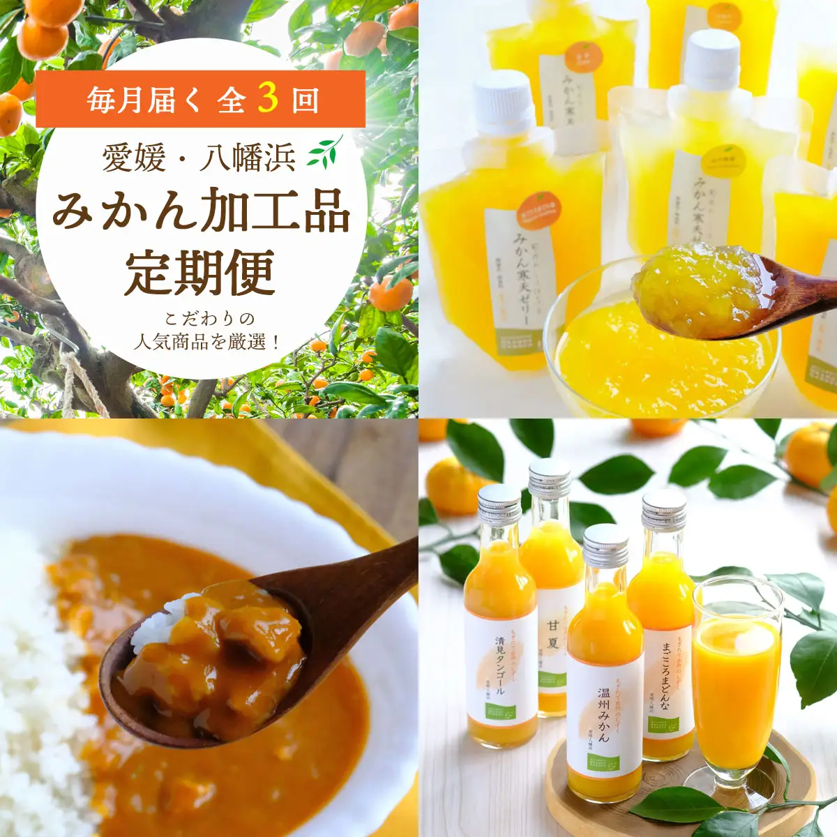 【毎月定期便】おいしい愛媛みかんを使用!こだわりのみかん加工品定期便全3回【G25-153】【4012887】 YWTAP095
